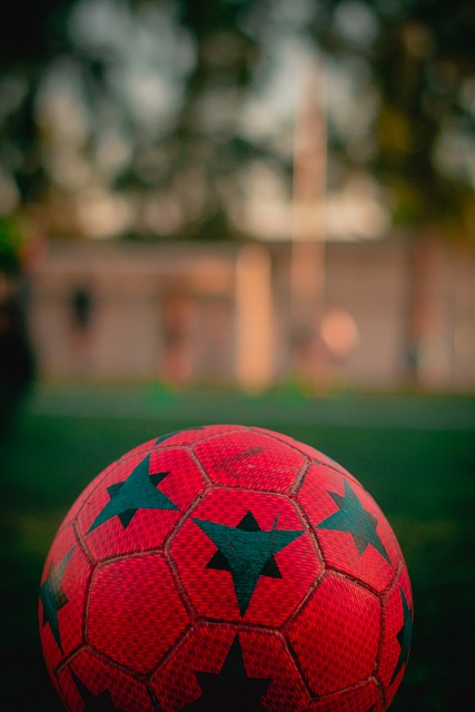 img3.webp
